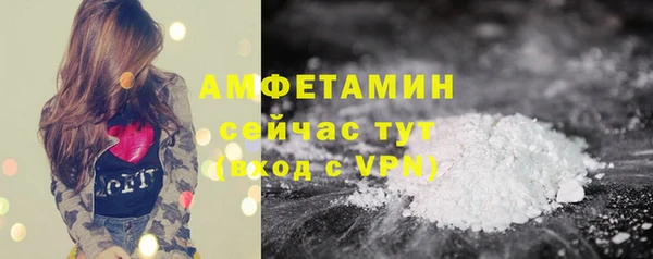 винт Алзамай
