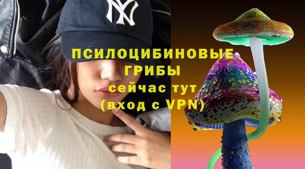 прущие крисы Алексин