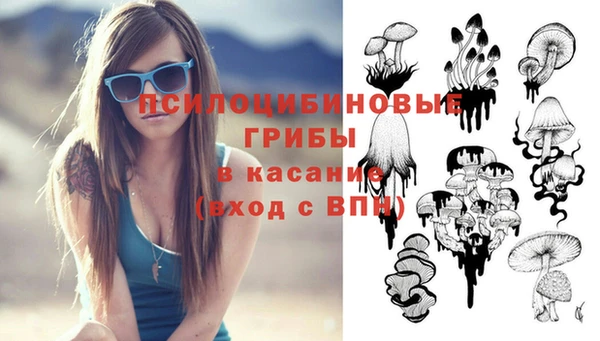 прущие крисы Алексин