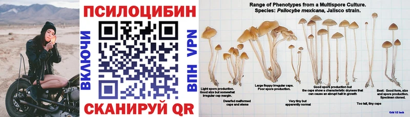 Псилоцибиновые грибы прущие грибы  Пустошка 